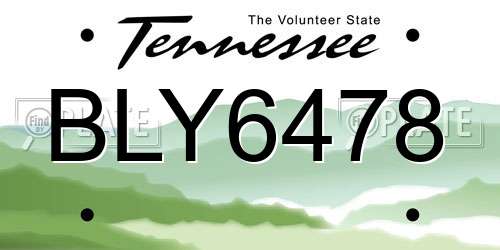 BLY6478 Tennessee License Plate