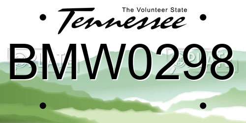 BMW0298 Tennessee License Plate