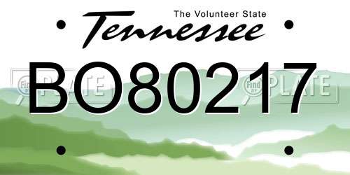 BO80217 Tennessee License Plate