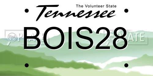 BOIS28 Tennessee License Plate