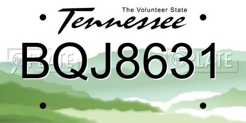 BQJ8631 Tennessee License Plate