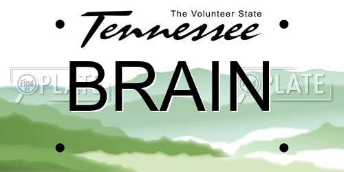 BRAIN Tennessee License Plate