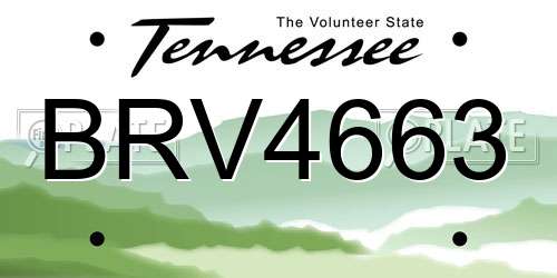 BRV4663 Tennessee License Plate