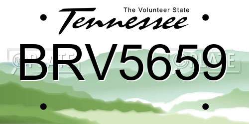 BRV5659 Tennessee License Plate