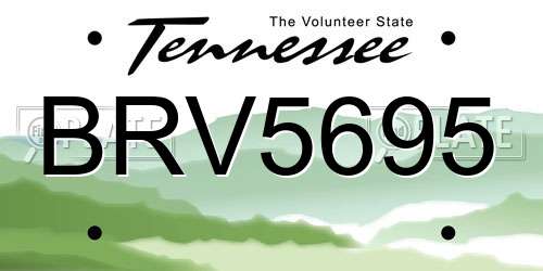 BRV5695 Tennessee License Plate