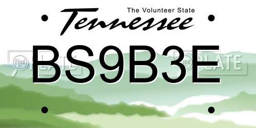BS9B3E Tennessee License Plate