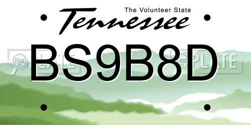 BS9B8D Tennessee License Plate