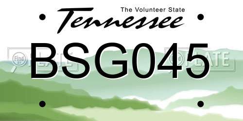 BSG045 Tennessee License Plate