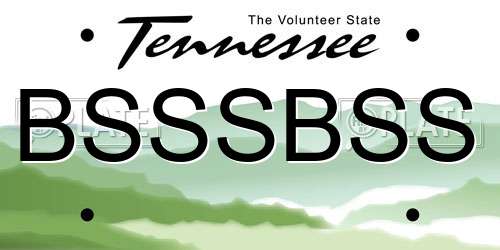 BSSSBSS Tennessee License Plate