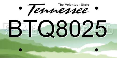 BTQ8025 Tennessee License Plate