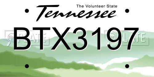 BTX3197 Tennessee License Plate