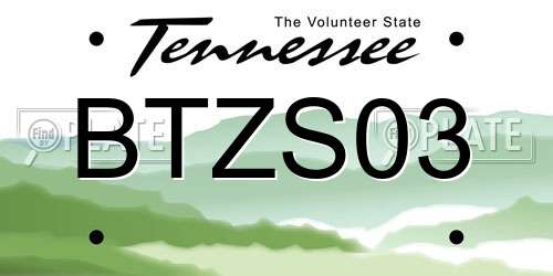 BTZS03 Tennessee License Plate
