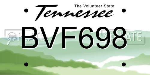 BVF698 Tennessee License Plate