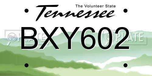 BXY602 Tennessee License Plate