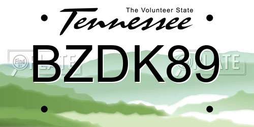 BZDK89 Tennessee License Plate
