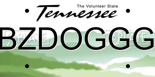 BZDOGGG Tennessee License Plate