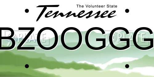 BZOOGGG Tennessee License Plate