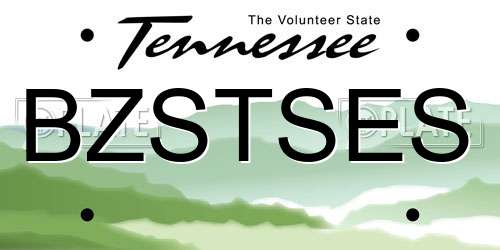BZSTSES Tennessee License Plate