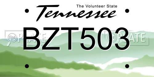 BZT503 Tennessee License Plate