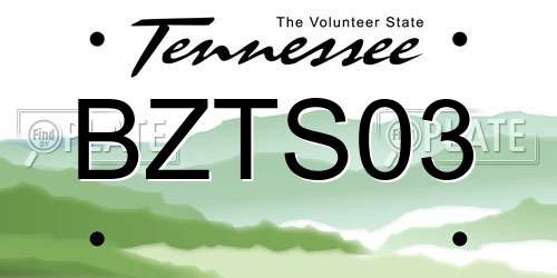 BZTS03 Tennessee License Plate