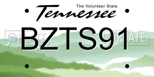 BZTS91 Tennessee License Plate