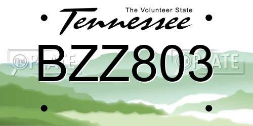 BZZ803 Tennessee License Plate
