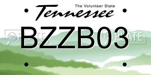 BZZB03 Tennessee License Plate