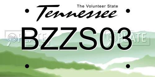 BZZS03 Tennessee License Plate