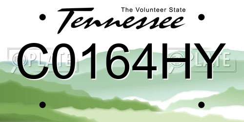 C0164HY Tennessee License Plate