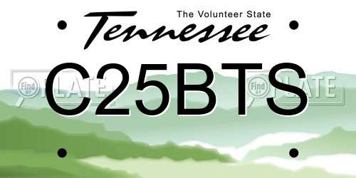 C25BTS Tennessee License Plate