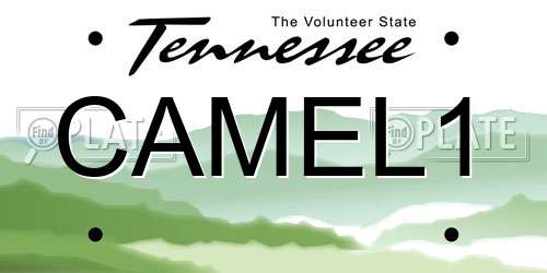 CAMEL1 Tennessee License Plate