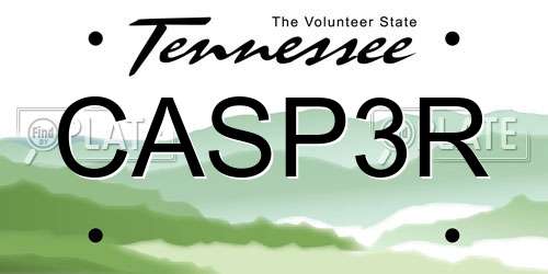CASP3R Tennessee License Plate