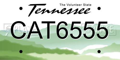 CAT6555 Tennessee License Plate