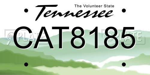 CAT8185 Tennessee License Plate