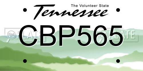 CBP565 Tennessee License Plate