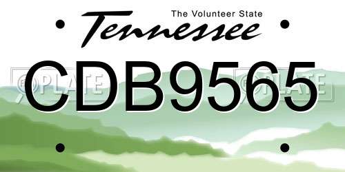 CDB9565 Tennessee License Plate