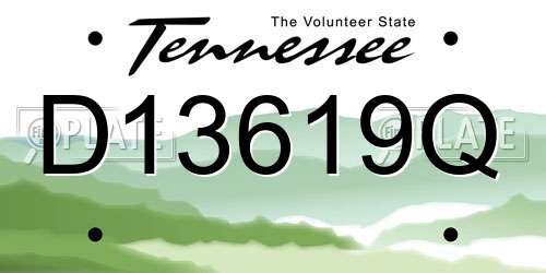 D13619Q Tennessee License Plate