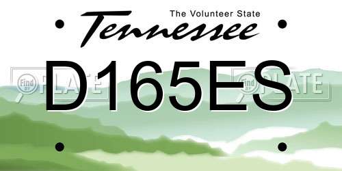D165ES Tennessee License Plate
