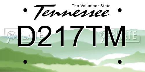 D217TM Tennessee License Plate