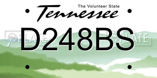 D248BS Tennessee License Plate