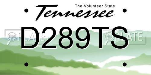 D289TS Tennessee License Plate
