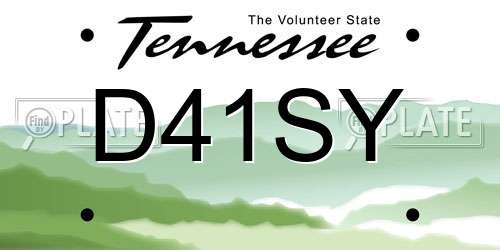 D41SY Tennessee License Plate