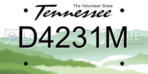 D4231M Tennessee License Plate