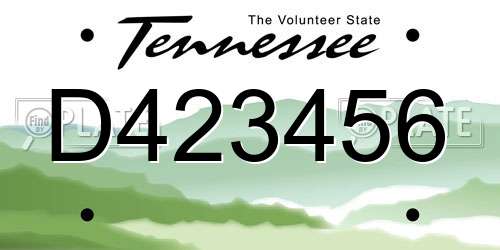 D423456 Tennessee License Plate