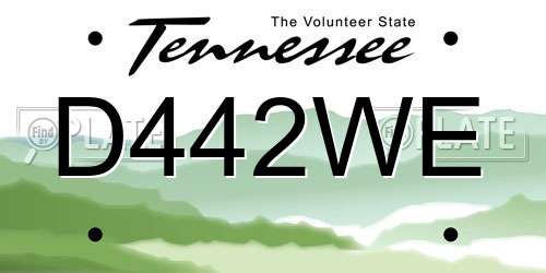 D442WE Tennessee License Plate