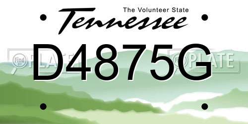 D4875G Tennessee License Plate