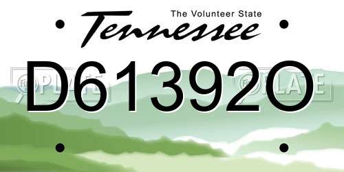 D61392O Tennessee License Plate
