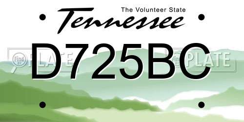 D725BC Tennessee License Plate