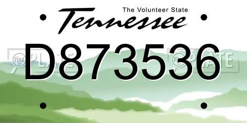 D873536 Tennessee License Plate