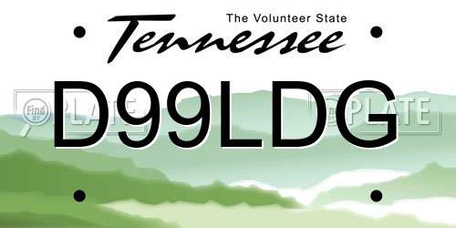 D99LDG Tennessee License Plate